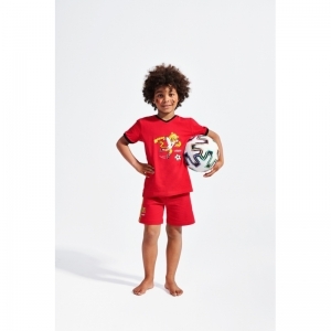 Z - Jersey cotton stretch 007 red devil j