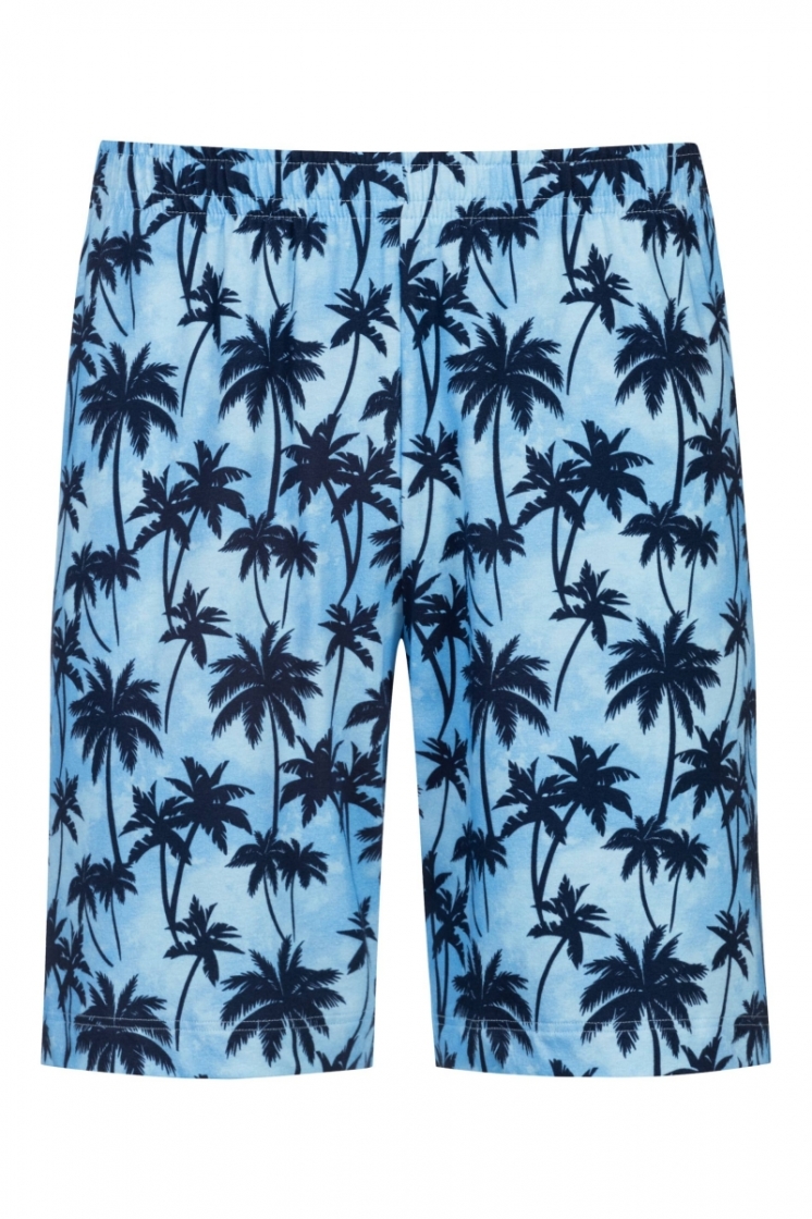 PALM HAVEN 1252 blue haze