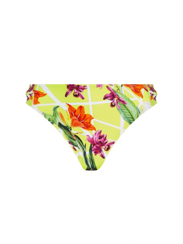 FLEURS SPLENDEUR IMPRIME