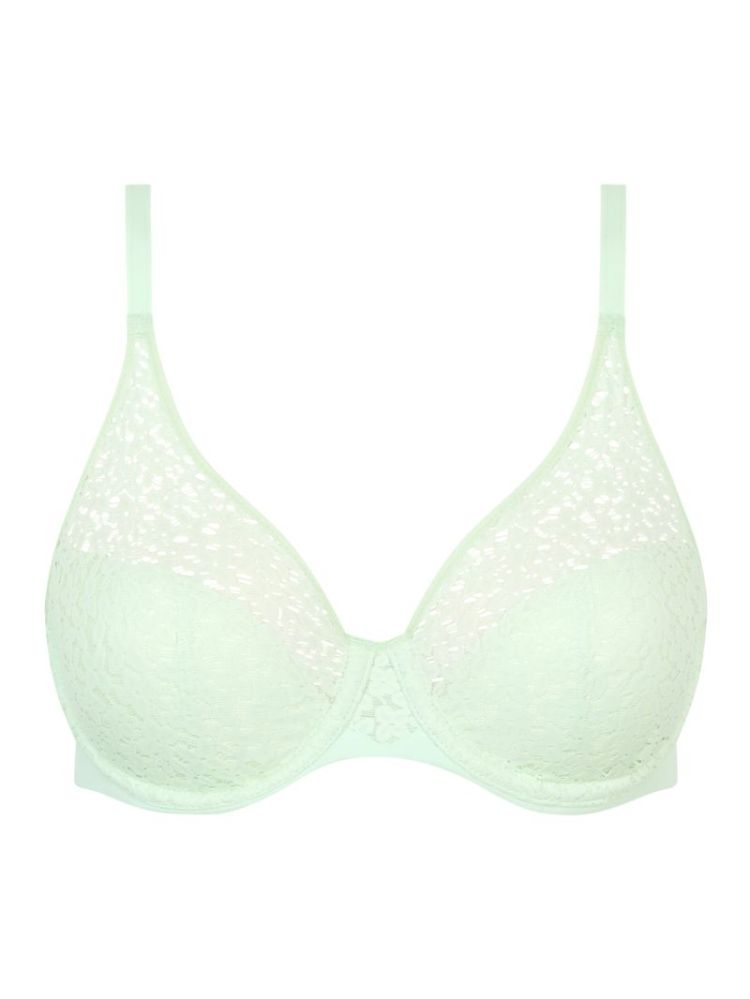  0EP CELADON